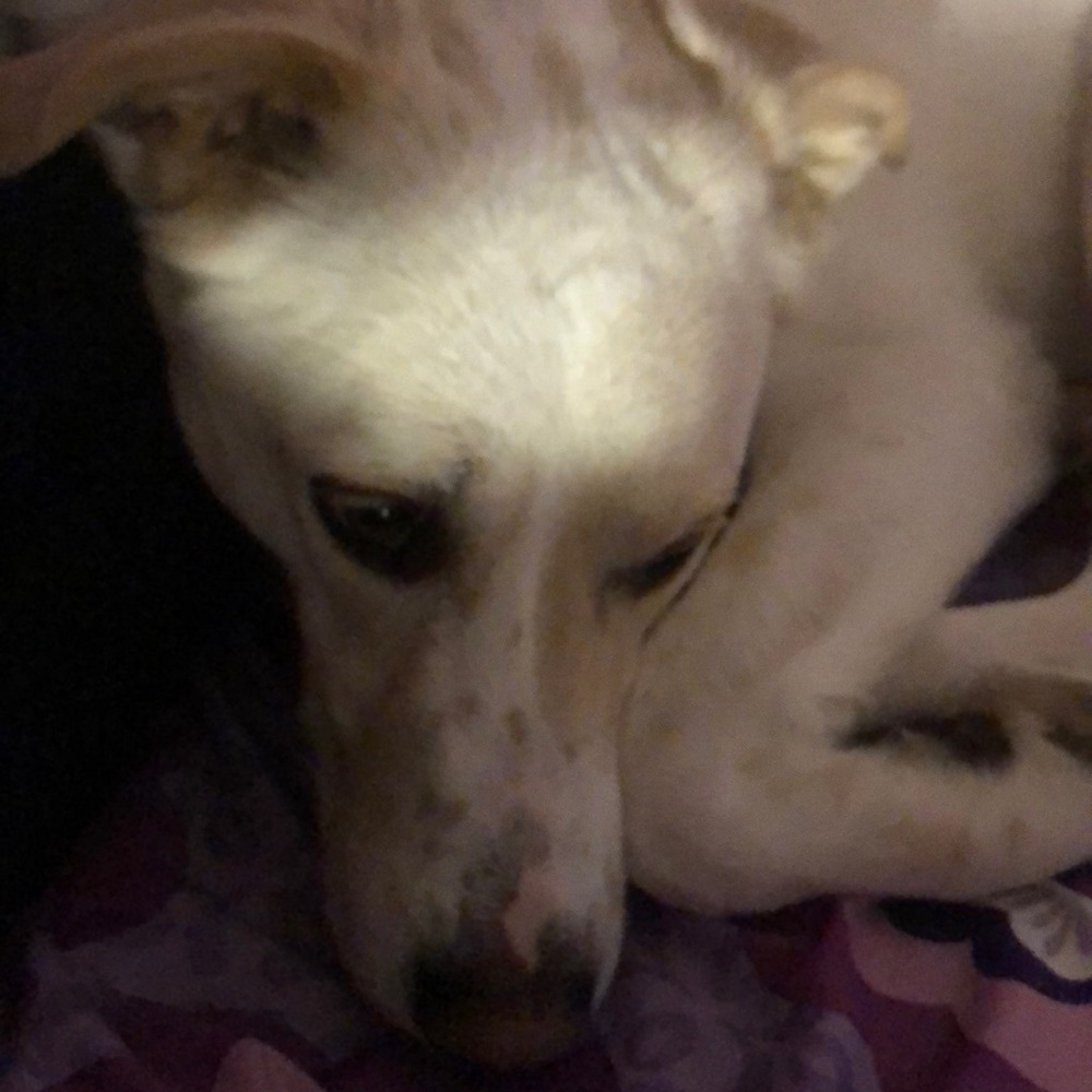 Meet your Posher, Alyvia